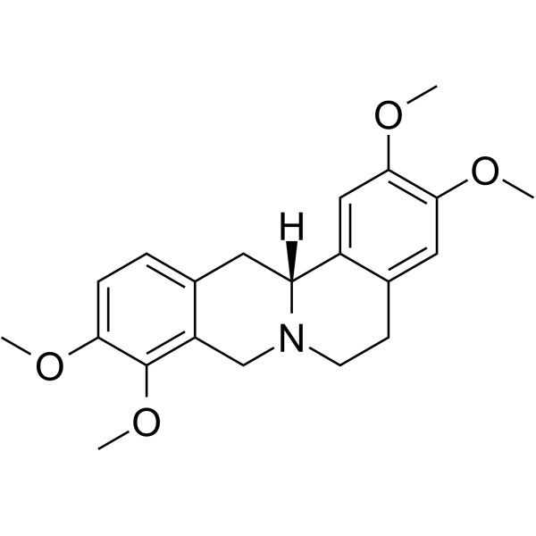 D-TetrahydropalmatineͼƬ