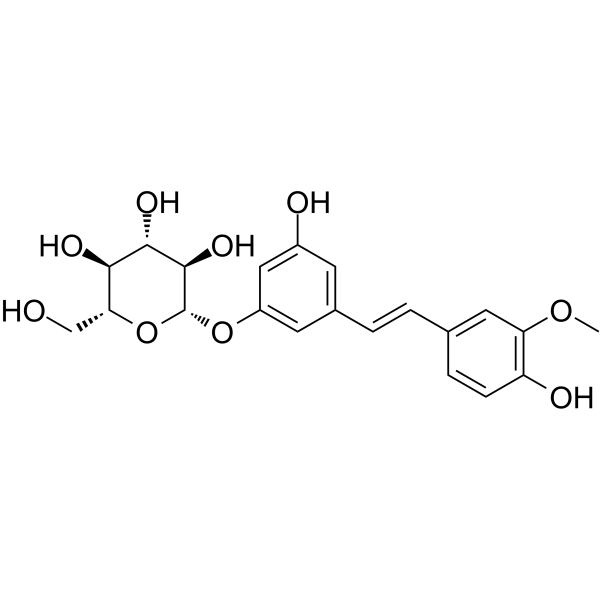 IsorhapontinͼƬ