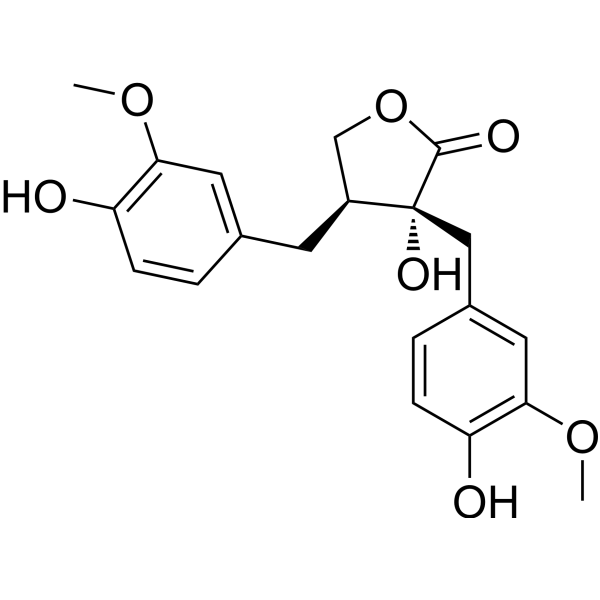 EpinortrachelogeninͼƬ