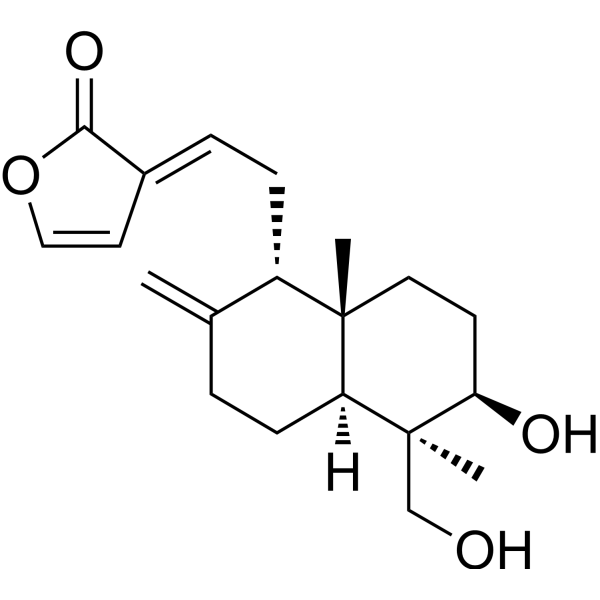 DehydroandrographolideͼƬ