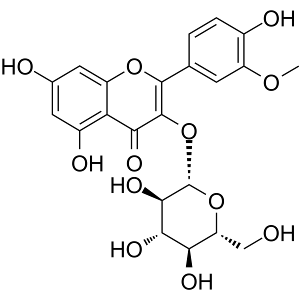 Isorhamnetin-3-O-glucoside图片