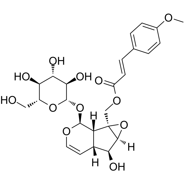 10-O-Trans-p-methoxycinnamoylcatalpolͼƬ