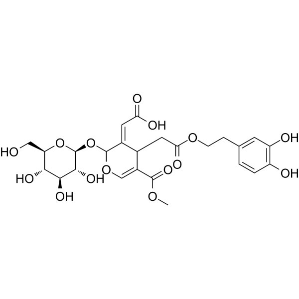 Oleuropeinic acidͼƬ