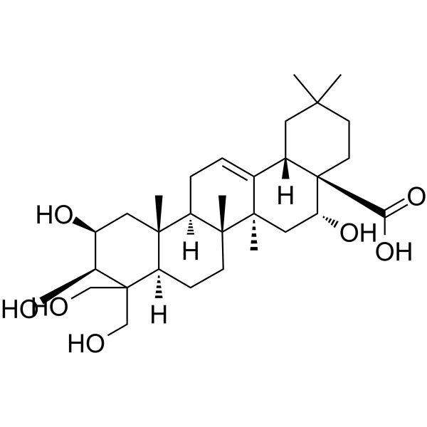 PlaticodigeninͼƬ