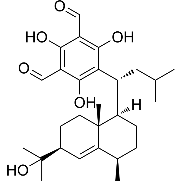 Macrocarpal EͼƬ