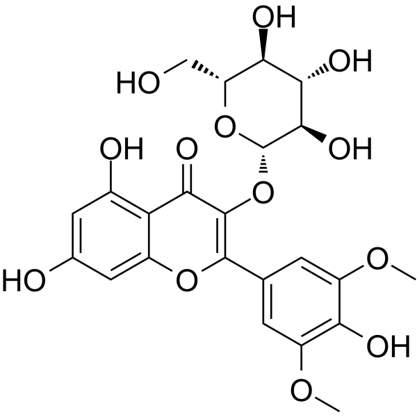 Syringetin-3-O-glucosideͼƬ