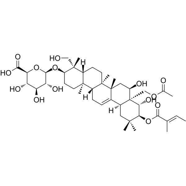 Gymnemic Acid IͼƬ