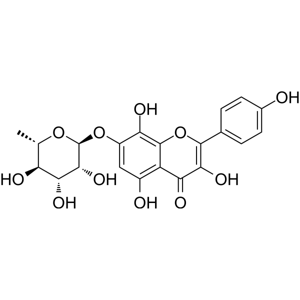 RhodioninͼƬ