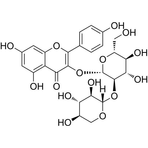 LeucosideͼƬ