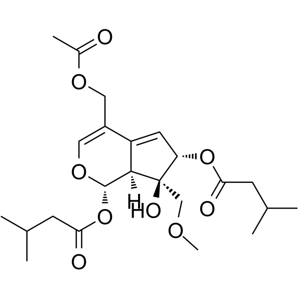 Valeriandoid F图片