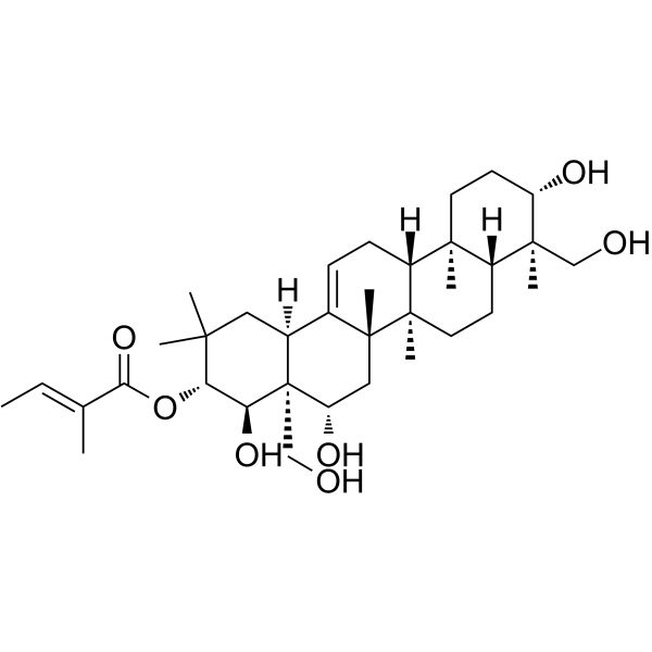 21-O-TigloylgymnemageninͼƬ