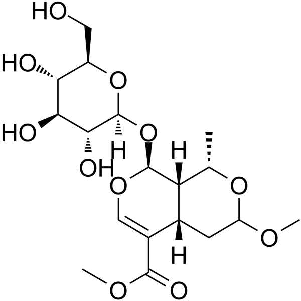 7-O-Methyl morroniside图片