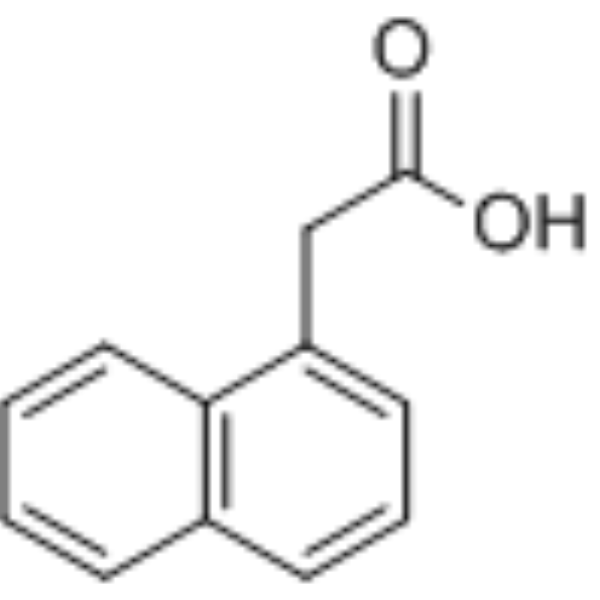 1-Naphthaleneacetic acidͼƬ