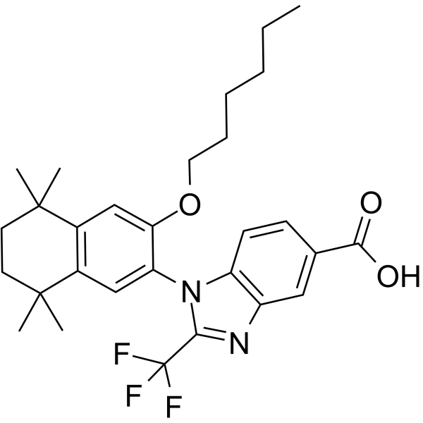 RXR antagonist 2ͼƬ