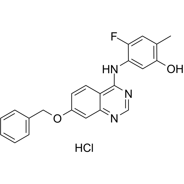 ZM323881 hydrochlorideͼƬ