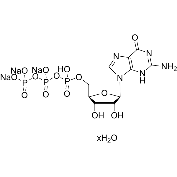 Guanosine 5'-triphosphate trisodium salt hydrateͼƬ