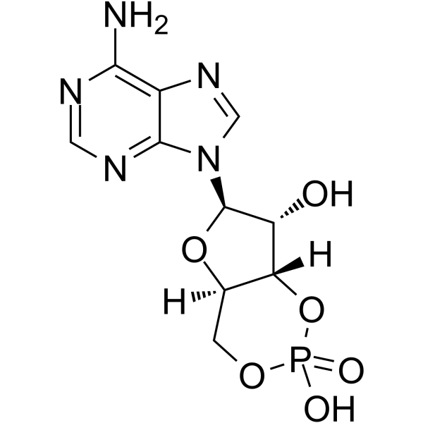 Cyclic AMPͼƬ