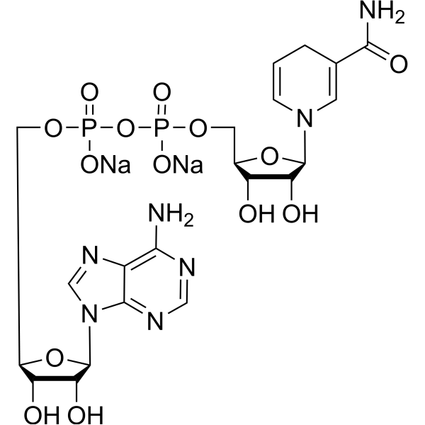 NADH disodium salt图片