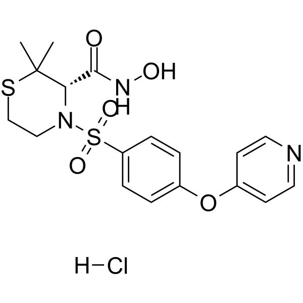 Prinomastat hydrochlorideͼƬ