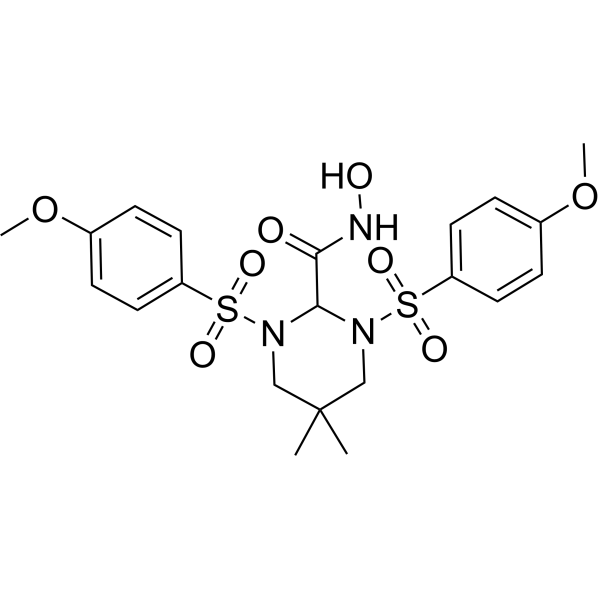 MMP Inhibitor IIͼƬ