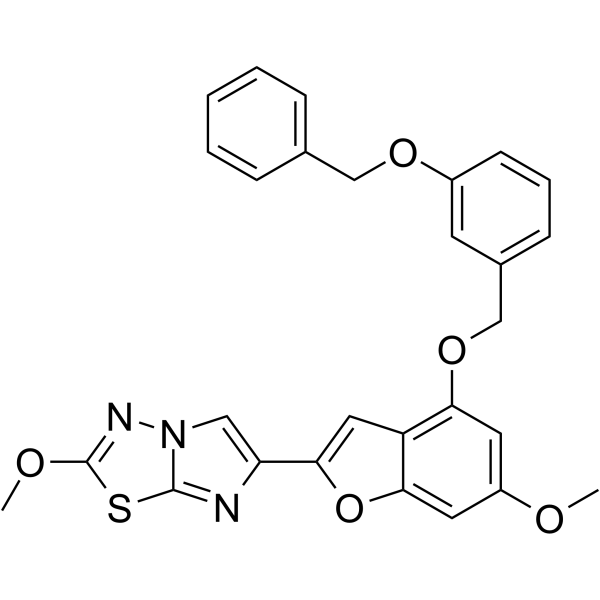 UDM-001651ͼƬ