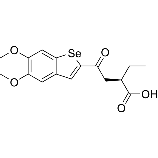 BSP16ͼƬ