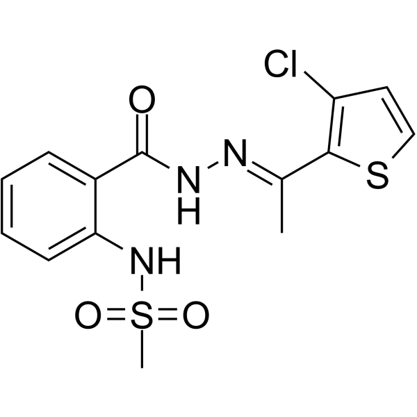 P2X receptor-1ͼƬ