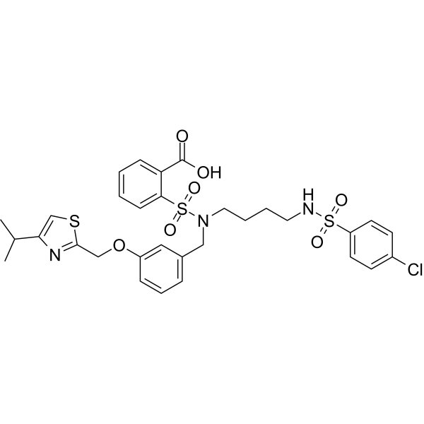 KP496ͼƬ