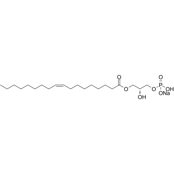 1-Oleoyl lysophosphatidic acid sodiumͼƬ