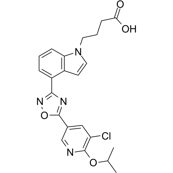 GSK2018682图片