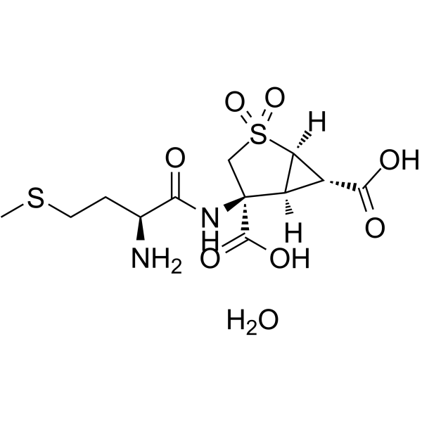 Pomaglumetad methionilͼƬ