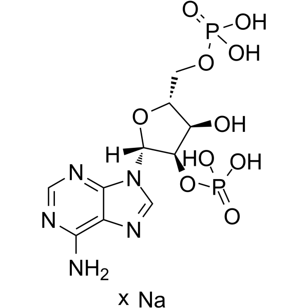 Adenosine 2',5'-diphosphate sodium图片