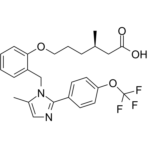 MA-0204ͼƬ