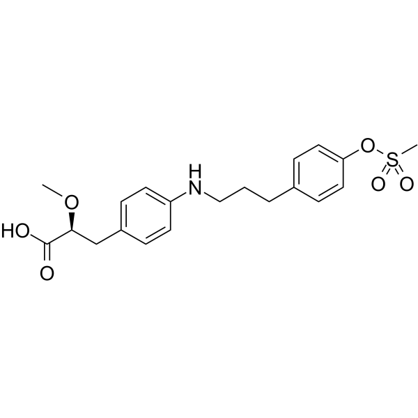 PPAR agonist 1ͼƬ