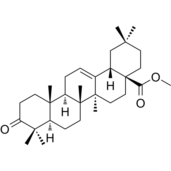 Methyl oleanonateͼƬ