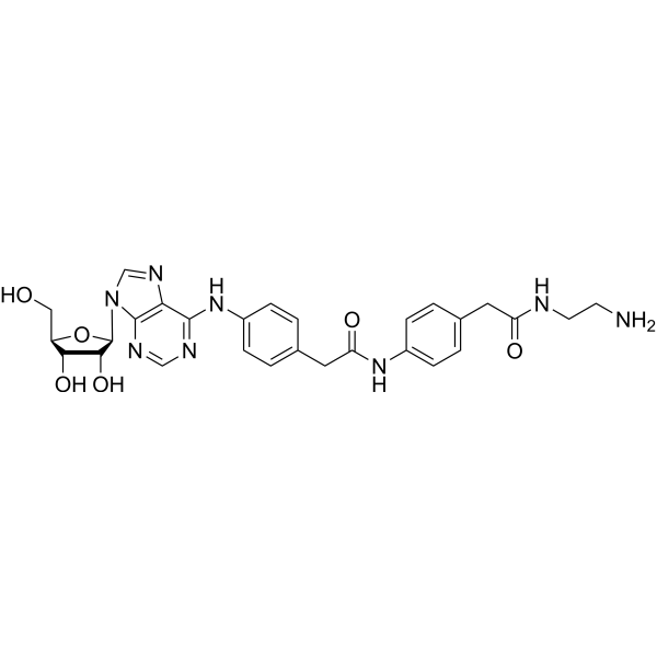 Adenosine amine congenerͼƬ