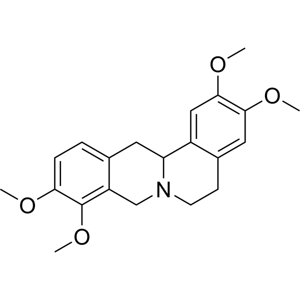 TetrahydropalmatineͼƬ