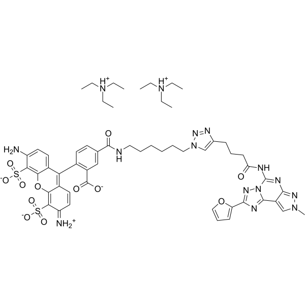 A2A/A3 AR antagonist-1ͼƬ