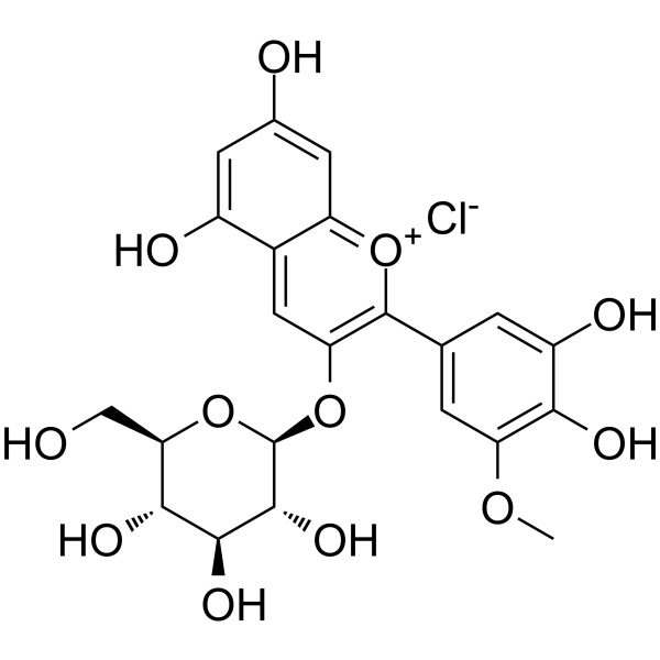 Petunidin-3-O-glucoside chloride图片