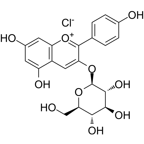 Callistephin chloride图片