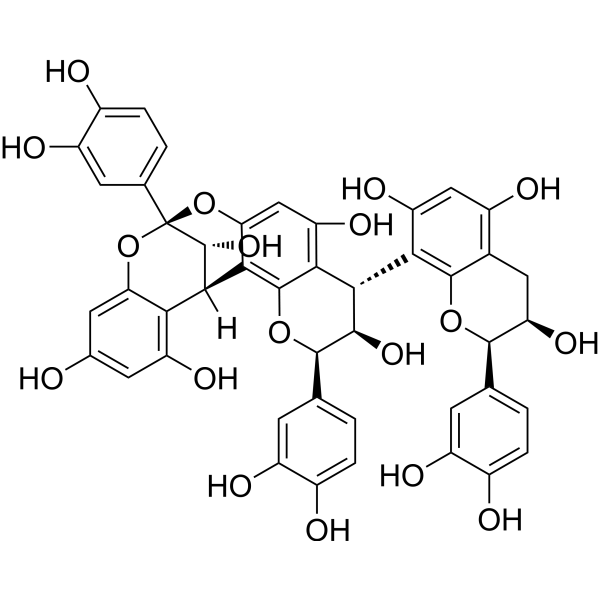 Cinnamtannin B-1ͼƬ