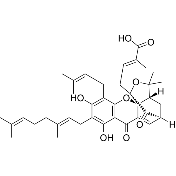 Isogambogenic acidͼƬ