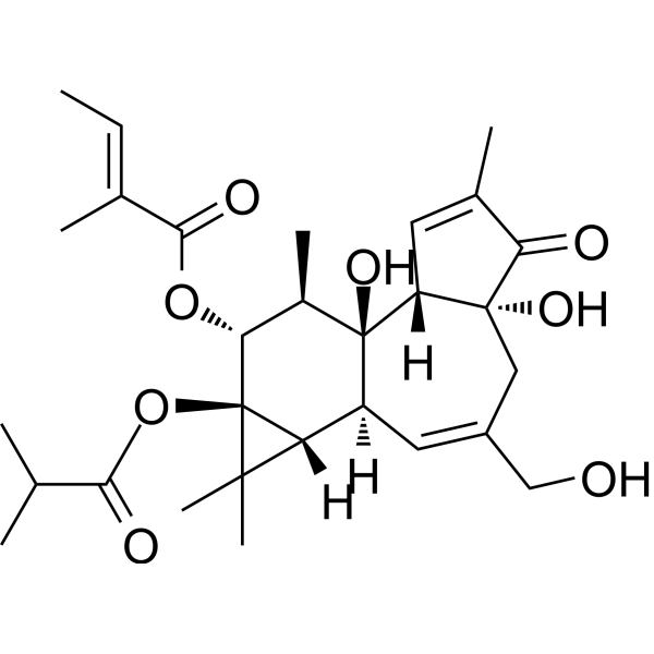 12-O-Tiglylphorbol-13-isobutyrateͼƬ