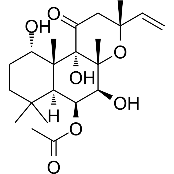 IsoforskolinͼƬ