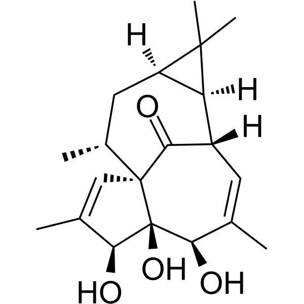 20-DeoxyingenolͼƬ