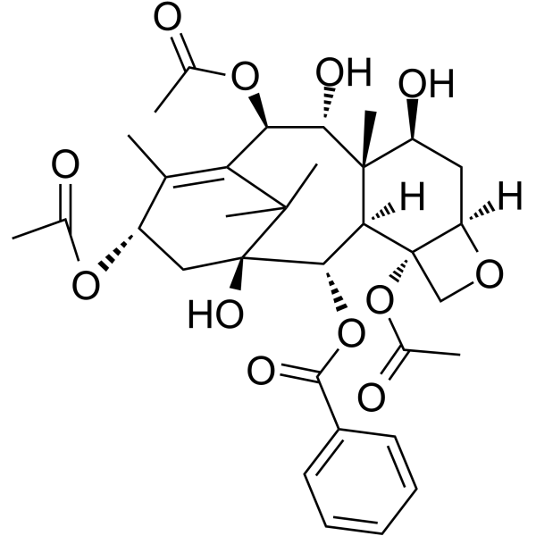 9-Dihydro-13-acetylbaccatin IIIͼƬ