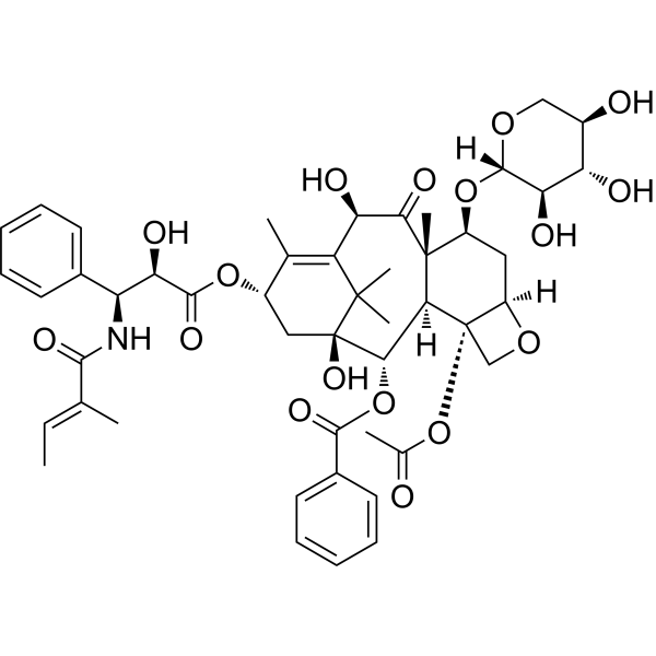 7-Xylosyl-10-deacetyltaxol B图片