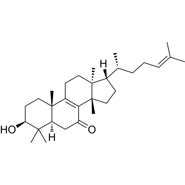 KansenoneͼƬ