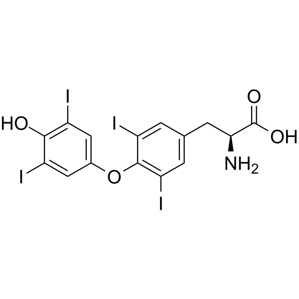 L-Thyroxine图片