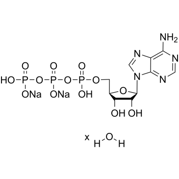 ATP disodium salt hydrateͼƬ